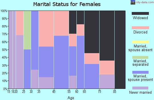 Zip code 28758 marital status for females