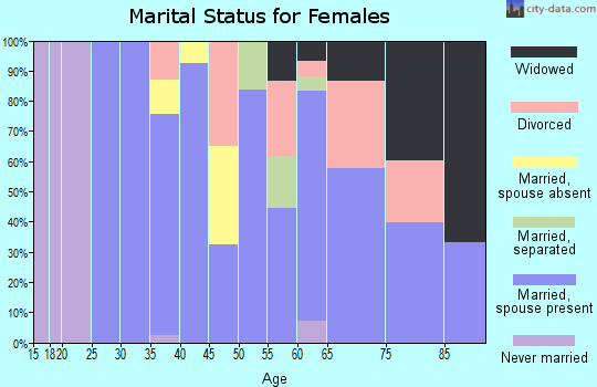 Zip code 28763 marital status for females