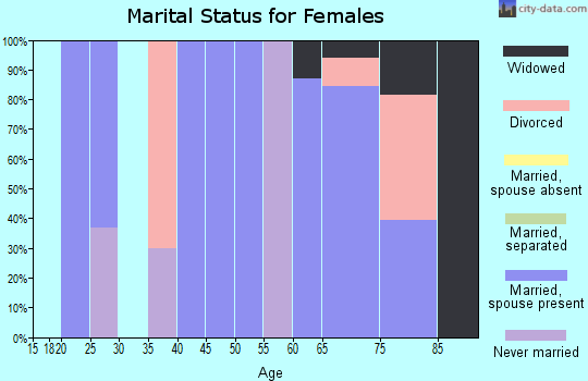 Zip code 28781 marital status for females