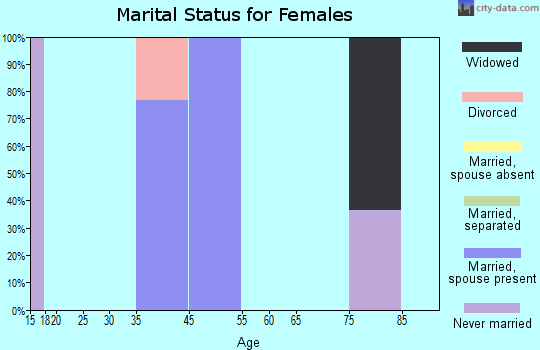 Zip code 28784 marital status for females