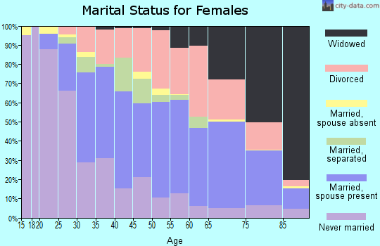 Zip code 28806 marital status for females