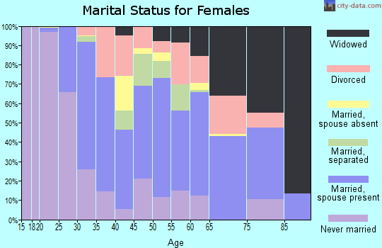 Zip code 29033 marital status for females