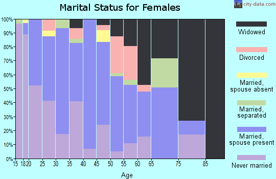 Zip code 29040 marital status for females