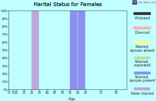 Zip code 29062 marital status for females