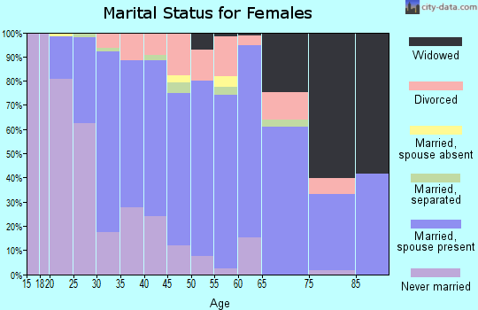 Zip code 29070 marital status for females