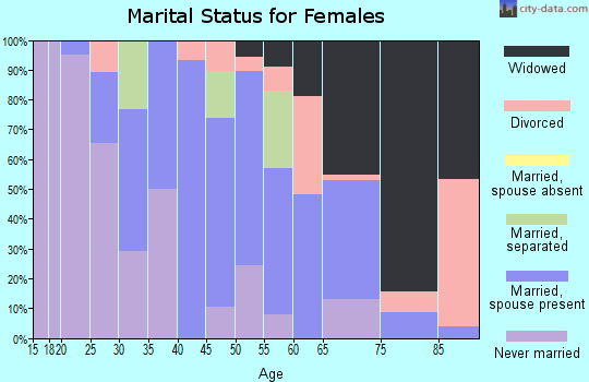 Zip code 29080 marital status for females