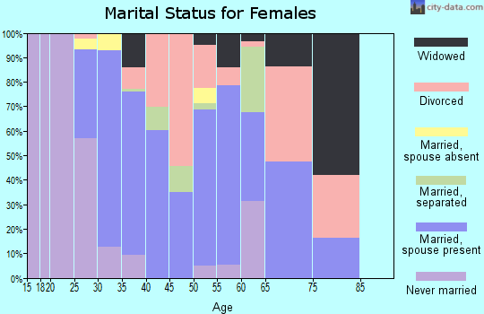 Zip code 29101 marital status for females