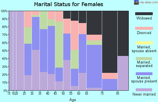 Zip code 29125 marital status for females