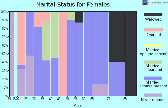 Zip code 29145 marital status for females