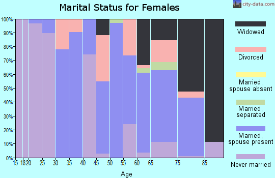 Zip code 29146 marital status for females