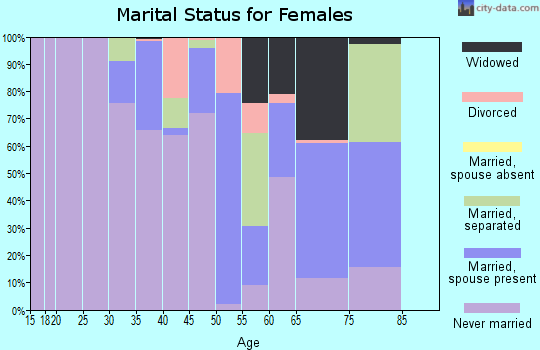 Zip code 29163 marital status for females