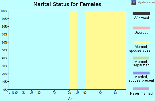 Zip code 29177 marital status for females