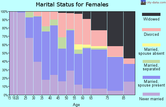 Zip code 29205 marital status for females