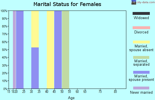 Zip code 29320 marital status for females