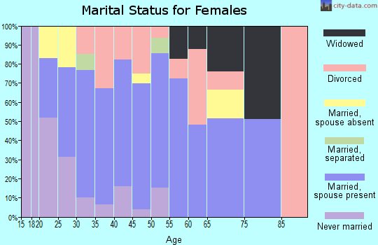 Zip code 29335 marital status for females