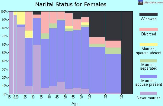 Zip code 29356 marital status for females