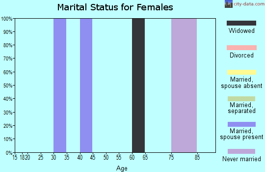 Zip code 29373 marital status for females