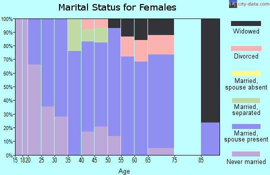 Zip code 29374 marital status for females