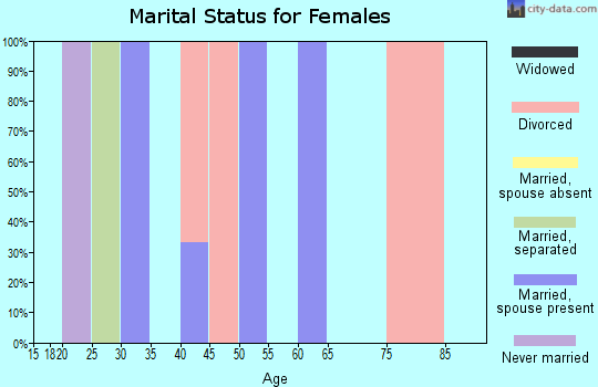 Zip code 29375 marital status for females