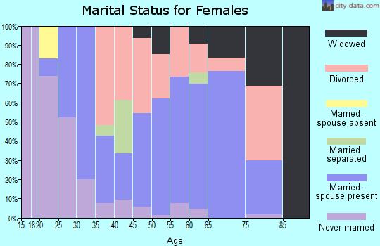 Zip code 29384 marital status for females