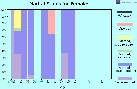 Zip code 29404 marital status for females