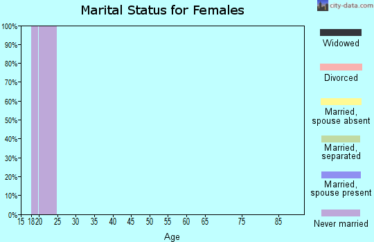 Zip code 29423 marital status for females