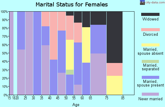 Zip code 29426 marital status for females