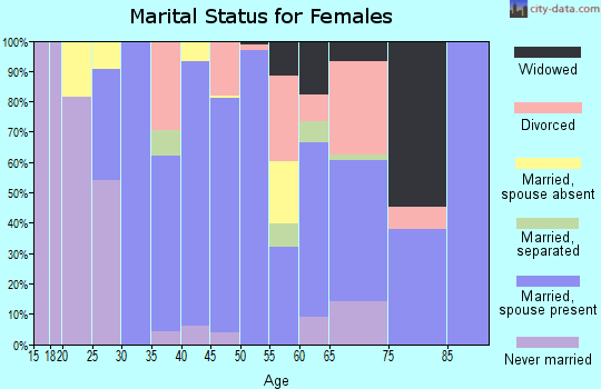 Zip code 29435 marital status for females