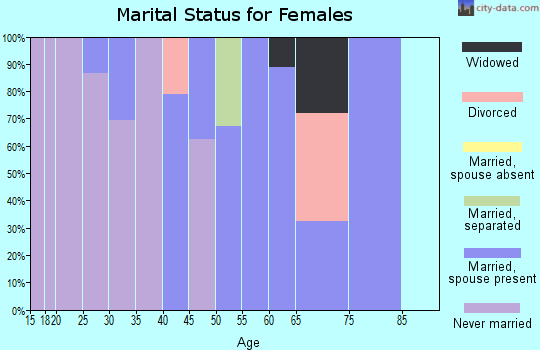 Zip code 29439 marital status for females
