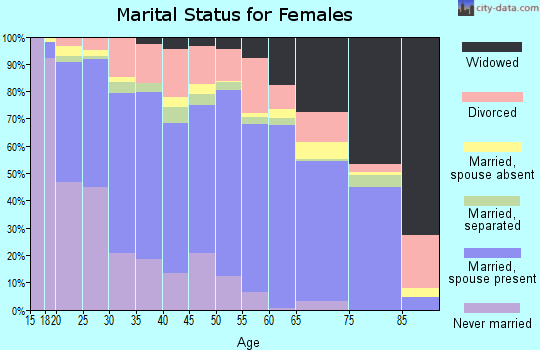 Zip code 29445 marital status for females