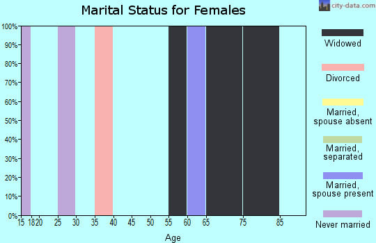 Zip code 29452 marital status for females