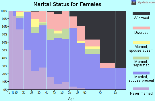 Zip code 29456 marital status for females
