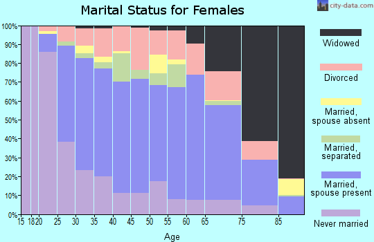 Zip code 29461 marital status for females