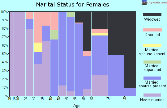 Zip code 29487 marital status for females