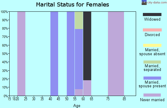 Zip code 29519 marital status for females