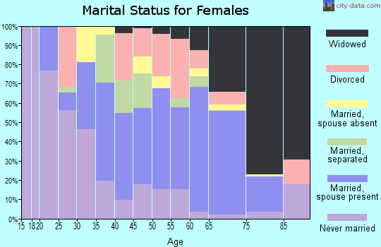 Zip code 29520 marital status for females