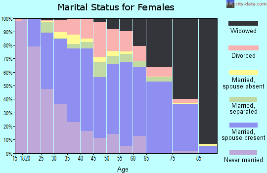 Zip code 29527 marital status for females