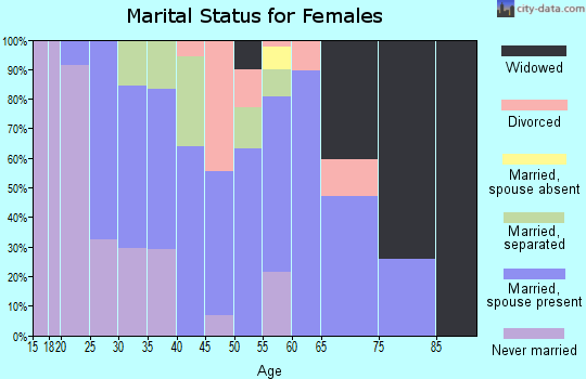 Zip code 29530 marital status for females