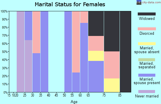 Zip code 29543 marital status for females