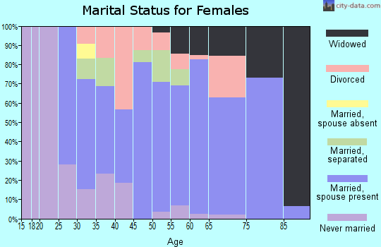 Zip code 29555 marital status for females