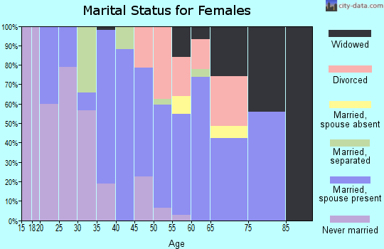 Zip code 29563 marital status for females