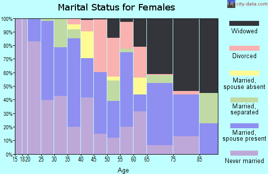 Zip code 29565 marital status for females