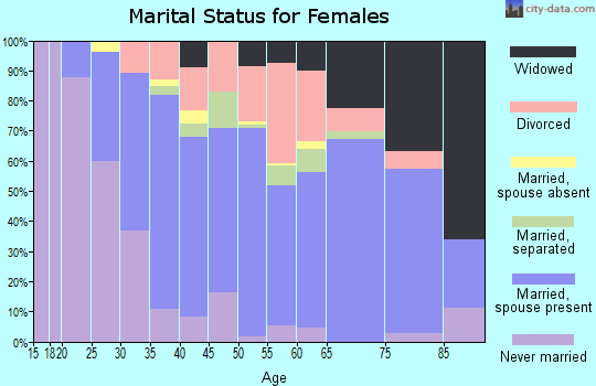 Zip code 29566 marital status for females