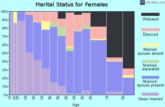 Zip code 29575 marital status for females