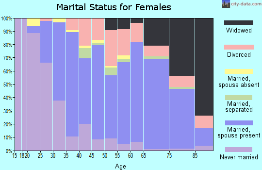 Zip code 29576 marital status for females
