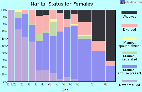 Zip code 29582 marital status for females