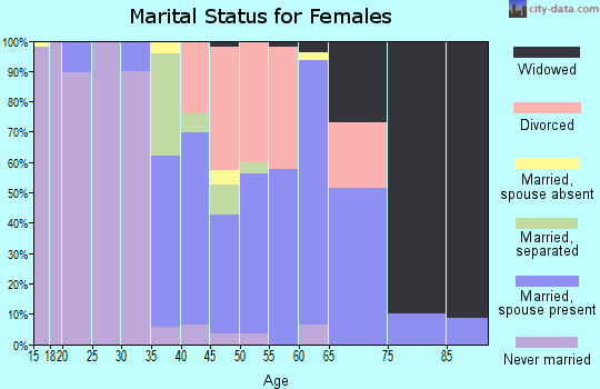 Zip code 29593 marital status for females