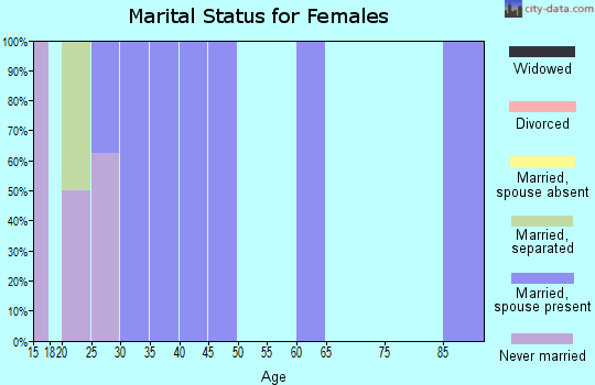 Zip code 29659 marital status for females