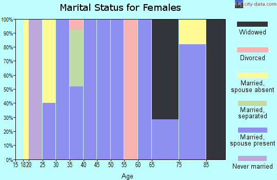 Zip code 29667 marital status for females