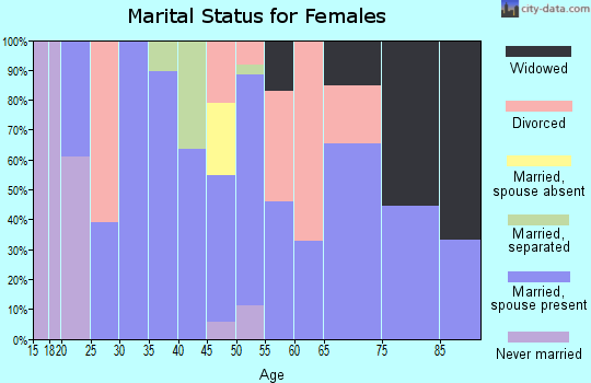 Zip code 29704 marital status for females